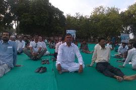Yoga Day 21-06-2015 